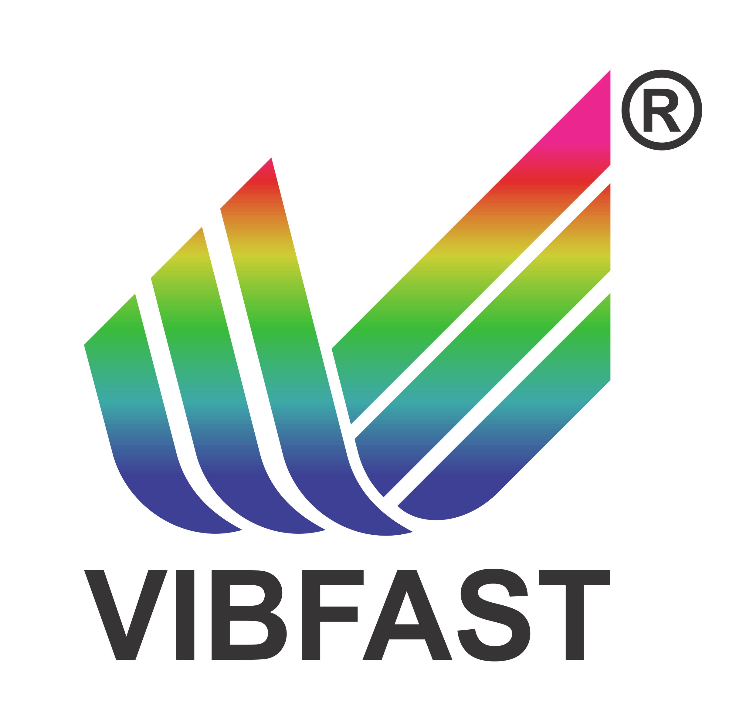 Vibfast Pigments Pvt. Ltd._logo